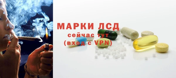 дживик Богородск